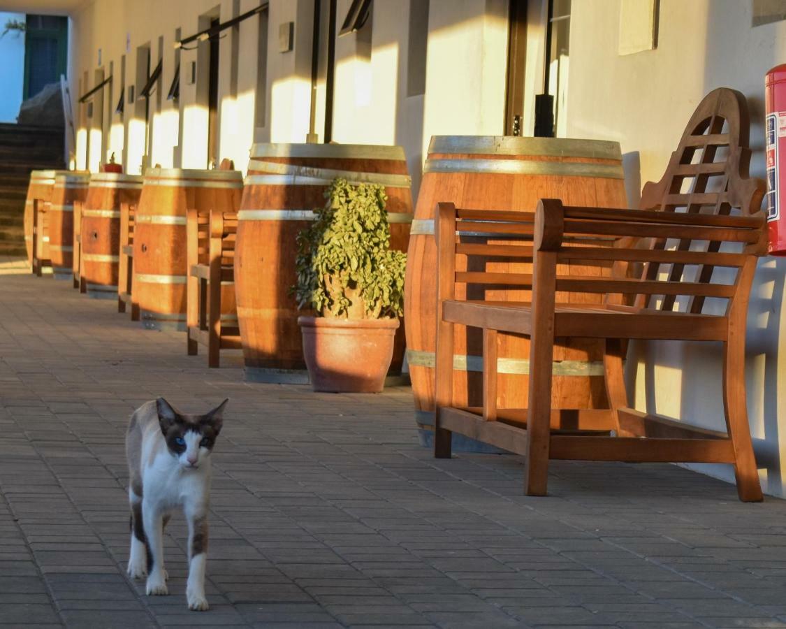 Middelplaas Paarl Guesthouse Exterior photo